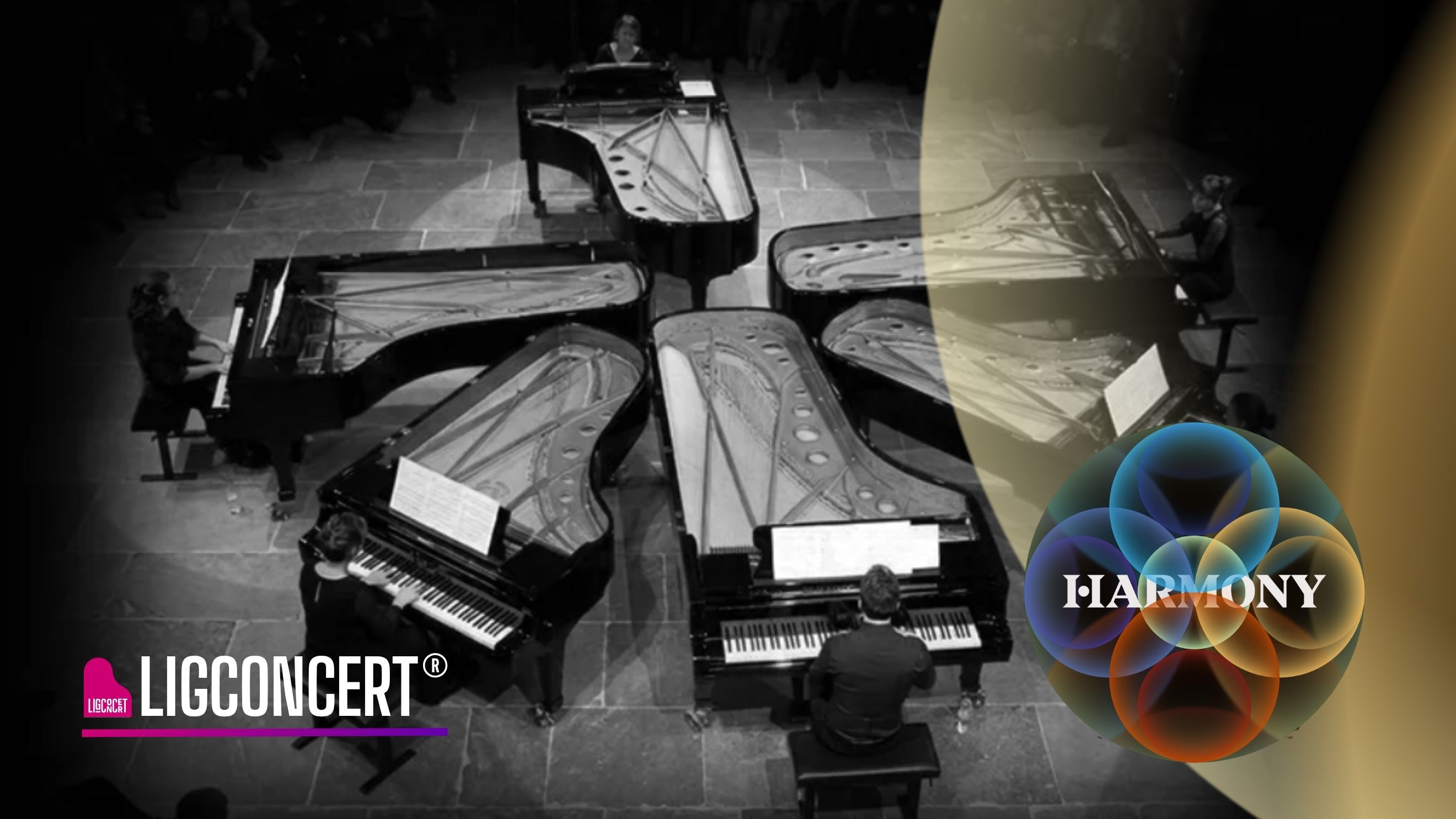 Harmony Canto Ostinato 6 vleugels